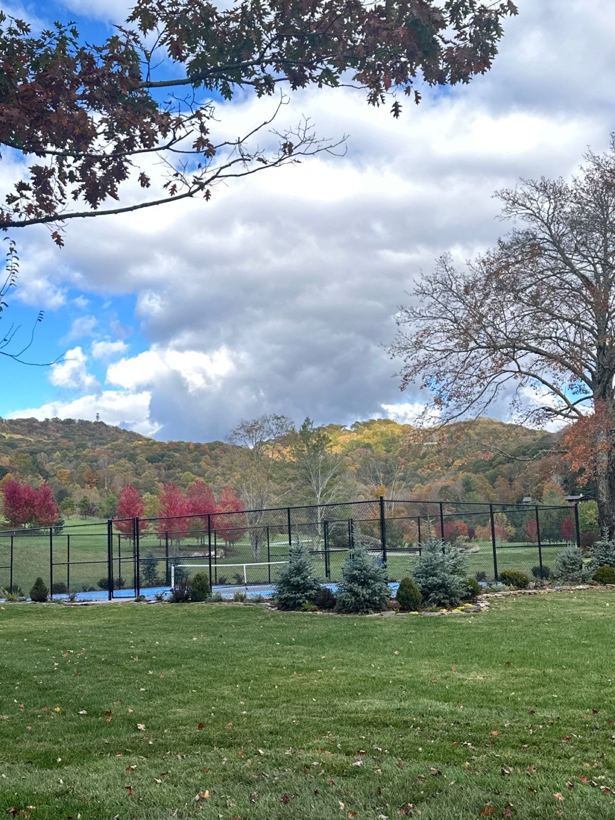 Chain Link Fence by Mountain Fence and Deck