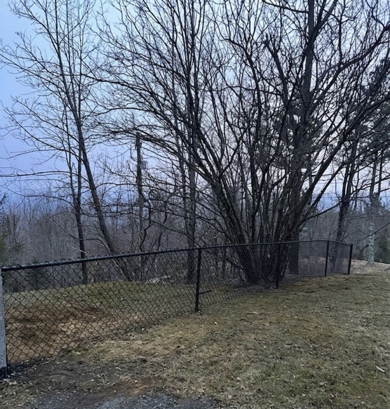 Chain Link Fence in Western NC