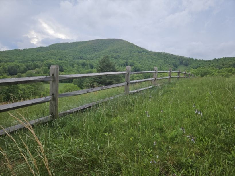Split Rail Fence by Mountain Fence and Deck